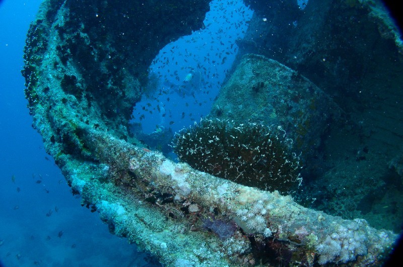 Photograph