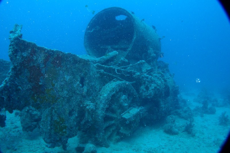 Photograph