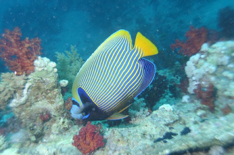 Photograph